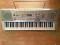 KEYBOARD CASIO LK-300 TV