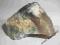 OPAL - TURCJA - SUROWY - 161 -