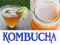 KOMBUCHA kombucza 4-ty GRATIS grzyb herbaciany XXL