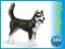 SCHLEICH PIES HUSKY OKAZJA 24H