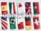 LG L70 | FLAG Case ETUI MUNDIAL +2x FOLIA