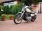 Harley-Davidson Sportster 883 (Johnnie Walker)