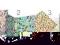 SEGREGATOR A5 4,5cm PIGNA NATURE FLOWERS (0054795)
