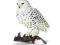 SCHLEICH FIGURKA SOWA ŚNIEŻNA
