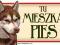 SIBERIAN HUSKY TABLICZKA NA DRZWI BRAMĘ PIES