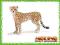 Schleich Gepard samica 14614