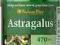Astragalus TRAGANEK 470mg 100kaps.Wys.gratis