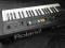 Vintage Roland Organ/Strings RS-09