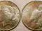 USA MORGAN DOLLAR Ag 1923 bz