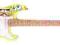 SPONGEBOB SBEOFT-YL: Gitara elektryczna...RATY