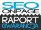POZYCJONOWANIE PODWÓJNA GWARANCJA - RAPORT SEO GRA