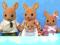 Sylvanian families rodzinka kangurków