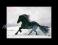 Obraz Koń Fryzyjski w galopie akwarela 30 x 40 CM