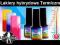 TERMICZNY LAKIER HYBRYDOWY 6 ml DWA KOLORY