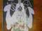 Tangled Web vol.1, #8; rok 2002