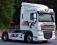 DAF XF 105.460 / SC /EURO 5 / RETARDER/ NOWE OPONY