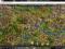 KONTO THE SETTLERS ONLINE 48LVL Dolina Odkrywców