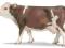 SCHLEICH KROWA RASY SIMMENTAL