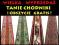 CHODNIK  120 cm + OBSZYCIE GRATIS + TANIE CHODNIKI