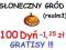 THE SETTLERS ONLINE DYNIE SŁONECZNY GRÓD GRATISY !