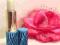 ESTEE LAUDER POMADKA BALSAM DO UST LIP CONDITIONER