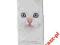 panel iPhone 5 5S ANIMAL SERIES WHITE CAT