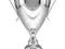 Puchar metalowy srebrny 40 cm + grawerka