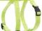 Zolux Szelki Nylon regulowane 10mm seledyn 462060