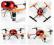 Gotowy do lotu model Quadrocopter Ladybug 2.4GHz