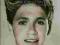 Niall Horan. One Direction. Z Irlandii...  24h