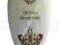 FAKE BAKE* OIL FREE MOISTURISER * 170 ml