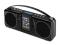 Radio Hi-Fi DUAL P 1000 Radio Ipod AUX PILOT !!!