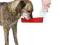Trixie Butelka do picia 700ml [2459]