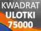 Ulotki kwadrat 75000 szt. -DARMOWA DOSTAWA ulotka