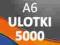 Ulotki A6 5000 szt. - Dostawa 0 zł - PREMIUM 170g