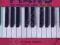 HAL LEONARD KEYBOARD STYLE SERIES Todd Lowry