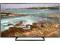 TV 50'' LED Panasonic TX-50A300E 100Hz W-wa