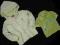 COCCODRILLO extra kurtka i polo gratis - 74 -