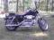 Harley Davidson xl 883 Sportster