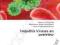 HEPATITIS VIRUSES AN OVERVIEW Zaki, Razek