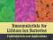 NANOMATERIALS FOR LITHIUM-ION BATTERIES Yazami