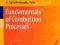 FUNDAMENTALS OF COMBUSTION PROCESSES McAllister