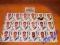 Naklejki Panini Ekstraklasa 2014 LECHIA Gdańsk