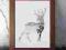 PLAKATY sztuka srebrny jeleń poroże plakat A3