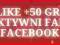 FACEBOOK 250 LIKE +50 GRATIS FANPAGE PROMOCJA