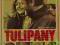 TULIPANY