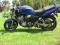 suzuki bandit 600 gsf 600 nie 650 hornat fz6 er5