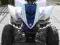 Yamaha Raptor YFM 350 Special Edition 2008 do rej.