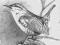 Rysunek odręczny Ptak ORYGINAŁ
