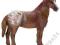 SCHLEICH KONIE KLACZ RASY APPALOOSA 13731 W-wa